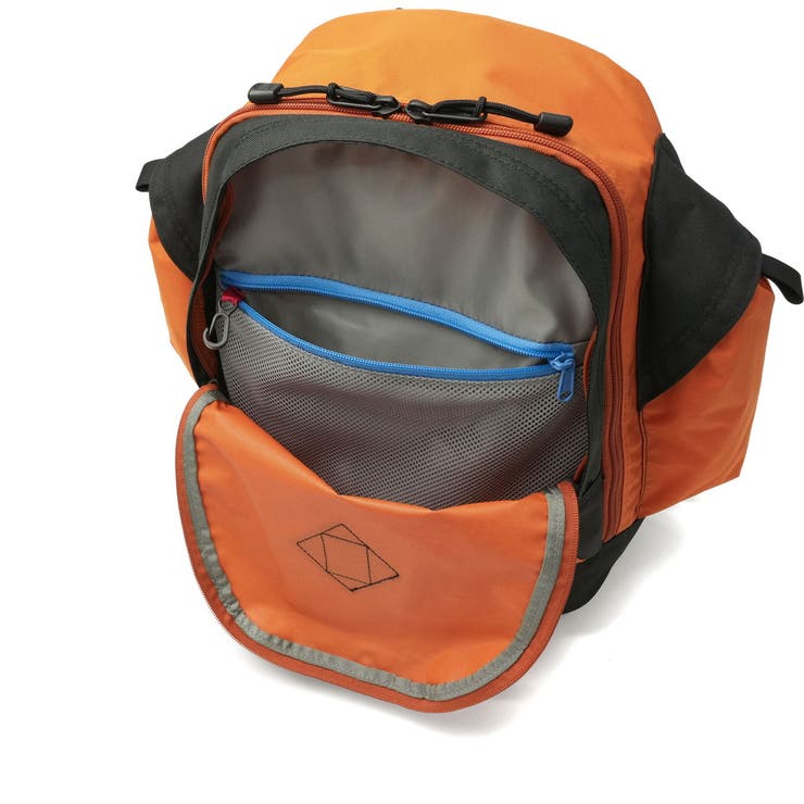 日本正規品 ザ ノース | ギャレリア Bag＆Luggage | 詳細画像16 