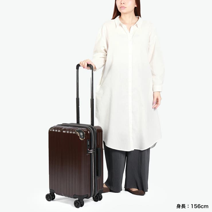 wisely スーツケース 機内持ち込み | ギャレリア Bag＆Luggage | 詳細画像10 