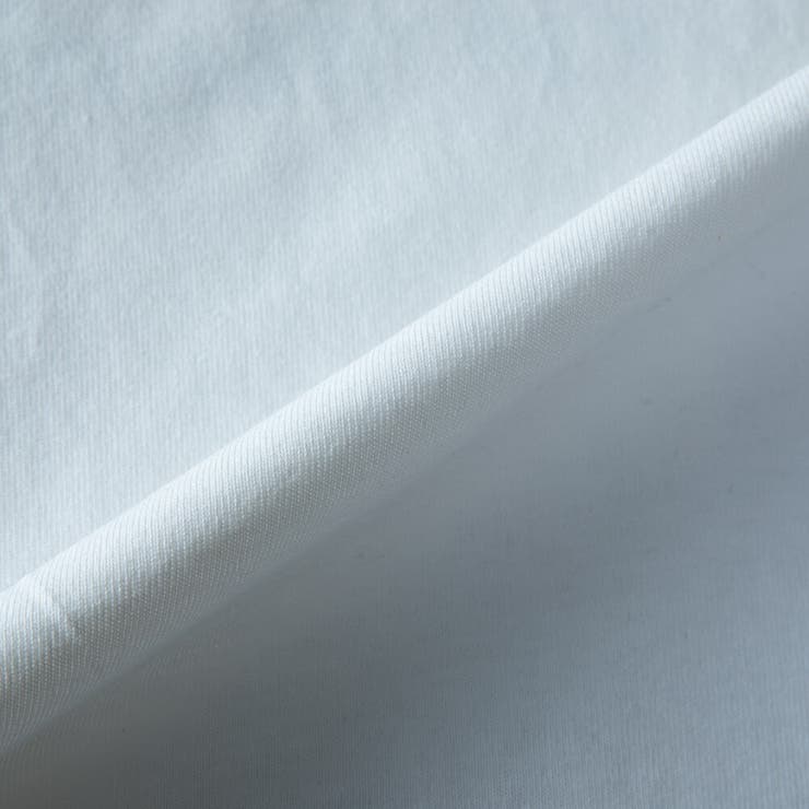 半袖tシャツ メンズ GENUINE Dickies 半袖 おしゃれ | GENELESS | 詳細画像20 