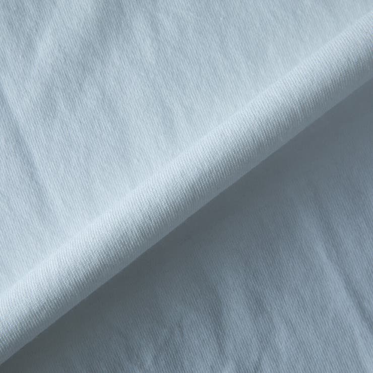 tシャツ メンズ 半袖 ロゴ プリント ディッキーズ 半袖tシャツ 夏 | GENELESS | 詳細画像28 