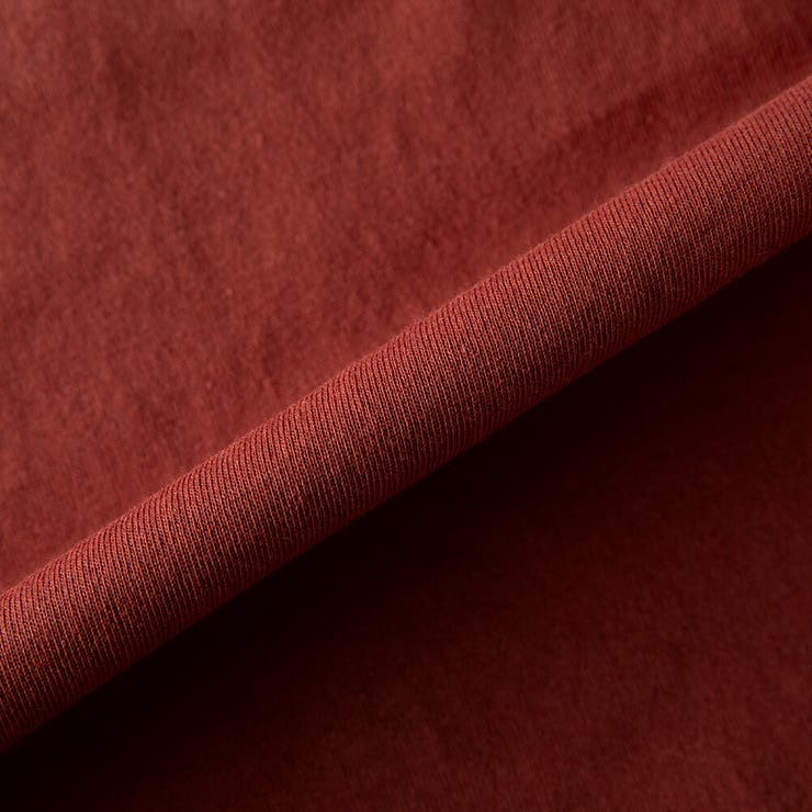 tシャツ メンズ 半袖 ロゴ プリント ディッキーズ 半袖tシャツ 夏 | GENELESS | 詳細画像29 