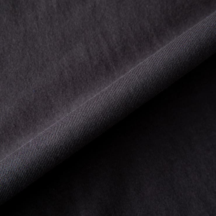 tシャツ メンズ 半袖 ロゴ プリント ディッキーズ 半袖tシャツ 夏 | GENELESS | 詳細画像30 