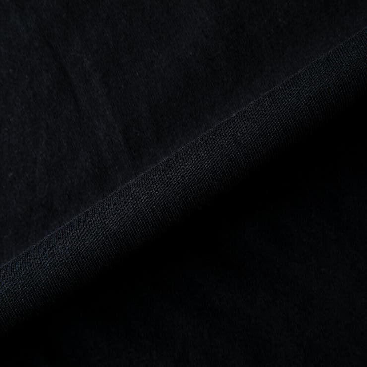 tシャツ メンズ 半袖 ロゴ プリント ディッキーズ 半袖tシャツ 夏 | GENELESS | 詳細画像31 