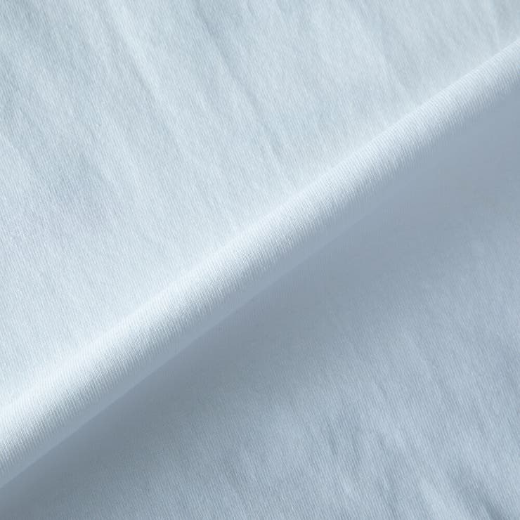 メンズ 半袖 tシャツ バックプリント ディッキーズ 半袖tシャツ 夏 | GENELESS | 詳細画像27 