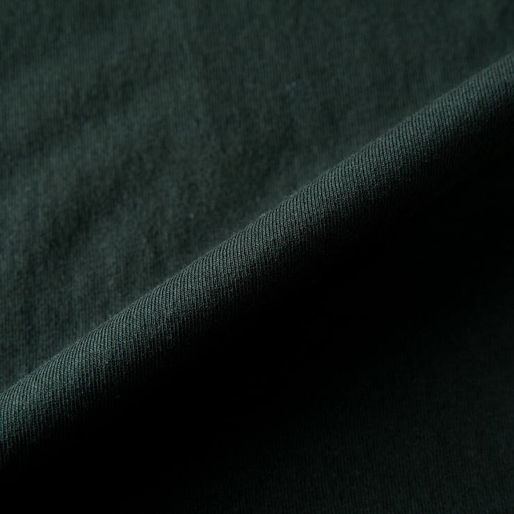 メンズ 半袖 tシャツ バックプリント ディッキーズ 半袖tシャツ 夏 | GENELESS | 詳細画像28 