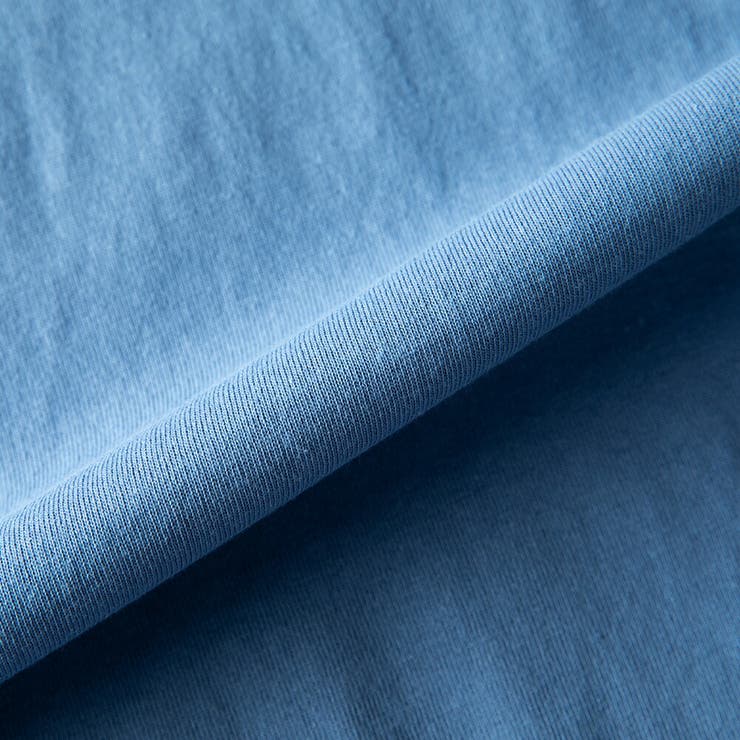 メンズ 半袖 tシャツ バックプリント ディッキーズ 半袖tシャツ 夏 | GENELESS | 詳細画像29 