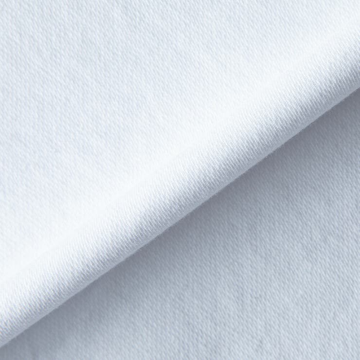 Tシャツ メンズ 半袖 バックプリント ディッキーズ 半袖Tシャツ ゆったり | GENELESS | 詳細画像24 