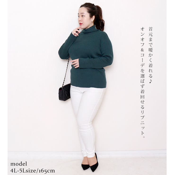 タートルネックリブニット