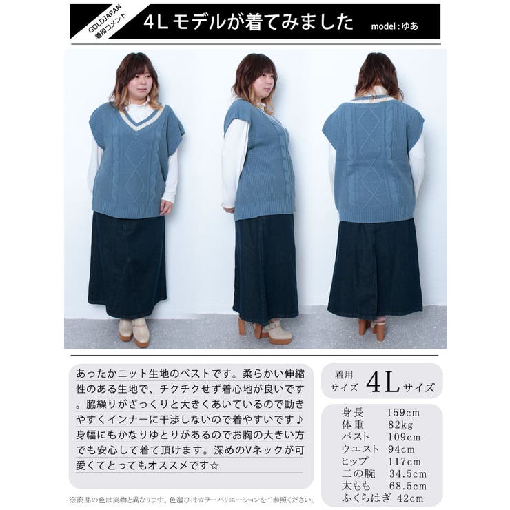 チルデンニットベスト