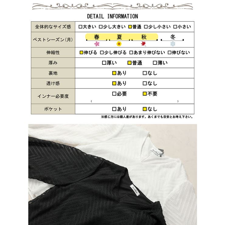 シアーVネックボリューム袖ブラウス