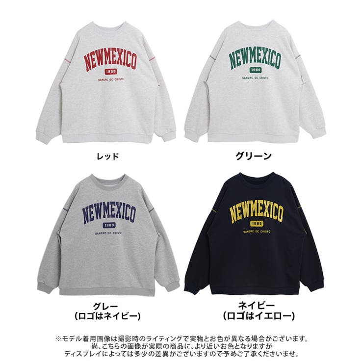 【国内即発送】 裏毛カレッジロゴスウェットプルオーバー トレーナー トップス トップス