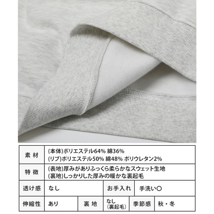 袖ロゴ入り裏起毛ビッグスウェット トレーナー 裏起毛 | Growing Rich | 詳細画像14 