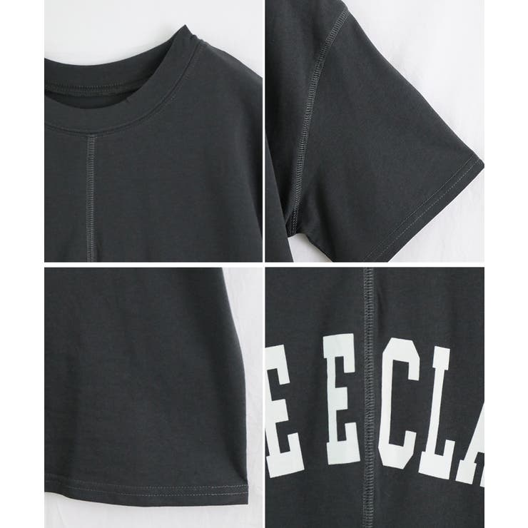 ユーズドライクロゴTシャツ[240311] | Growing Rich | 詳細画像13 