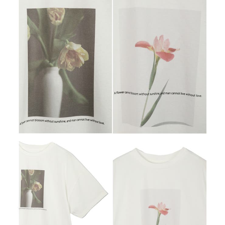 tシャツレディース半袖フラワーフォトTシャツオーバーサイズ綿100%コットン100%トップスカットソークルーネックゆったり体形カバー大きいサイズおしゃれ大人カジュアル春夏ロゴフォトプリントフォトT