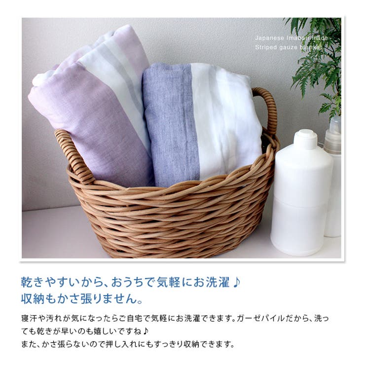 今治タオル ガーゼタオルケット 【 シングル 】 ボーダー柄[品番