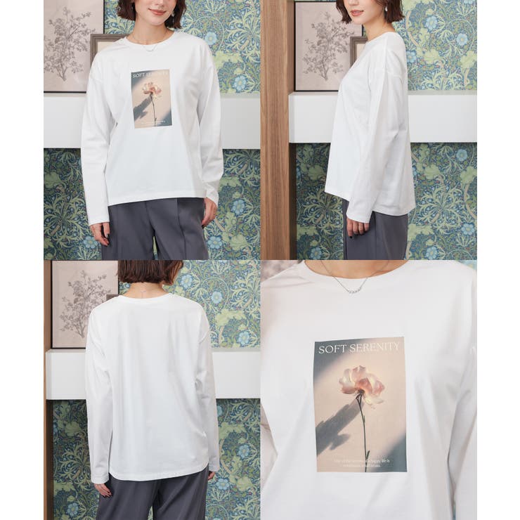 トップス Tシャツ ロンＴ | Honeys | 詳細画像16 