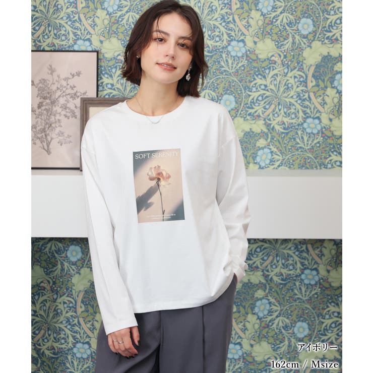 トップス Tシャツ ロンＴ | Honeys | 詳細画像5 
