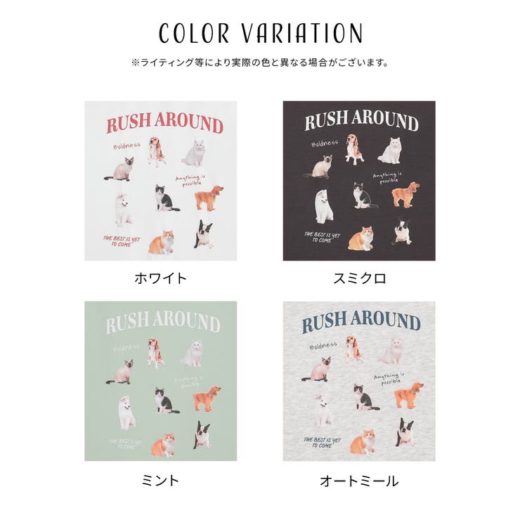 トップス Tシャツ 半袖Tシャツ | Honeys | 詳細画像12 