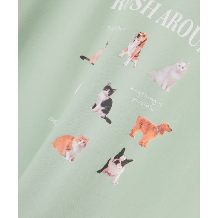 トップス Tシャツ 半袖Tシャツ | Honeys | 詳細画像17 