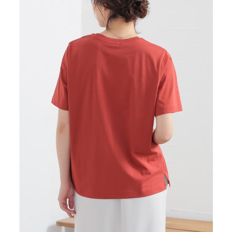 トップス Tシャツ 半袖Tシャツ | Honeys | 詳細画像14 