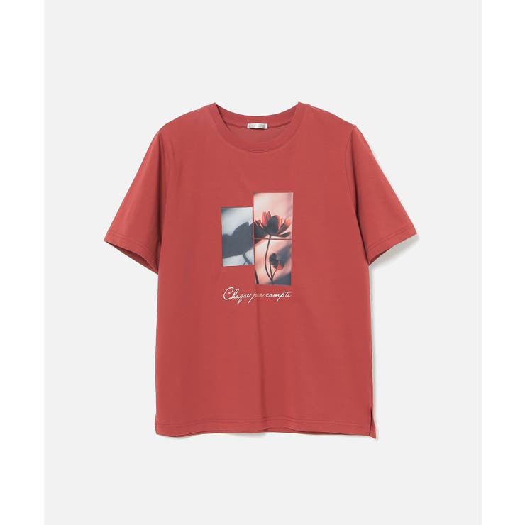 トップス Tシャツ 半袖Tシャツ | Honeys | 詳細画像16 