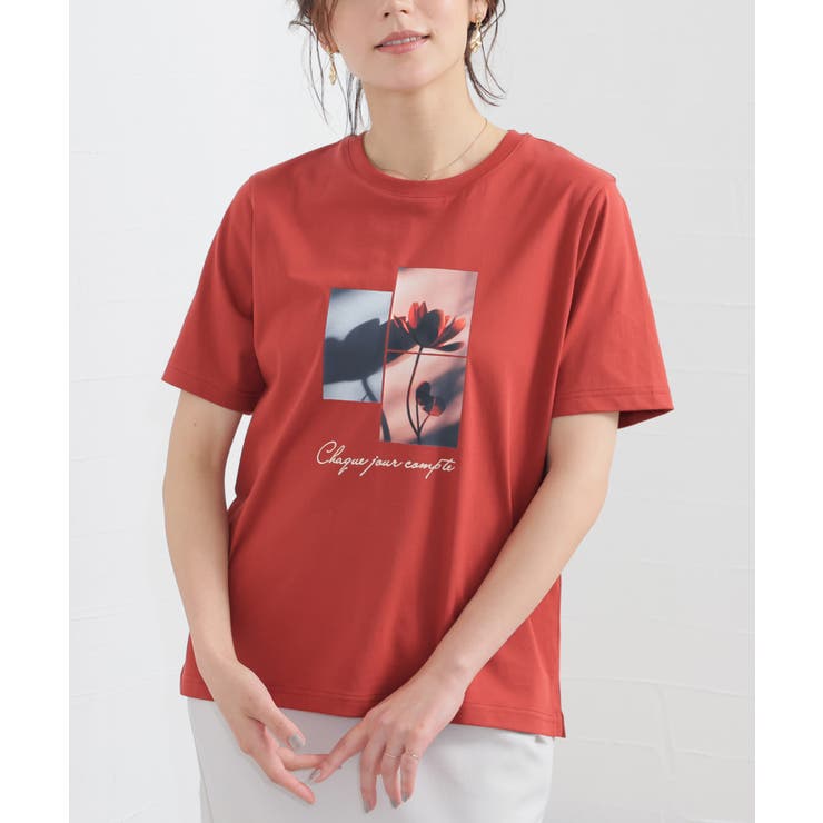 トップス Tシャツ 半袖Tシャツ | Honeys | 詳細画像9 