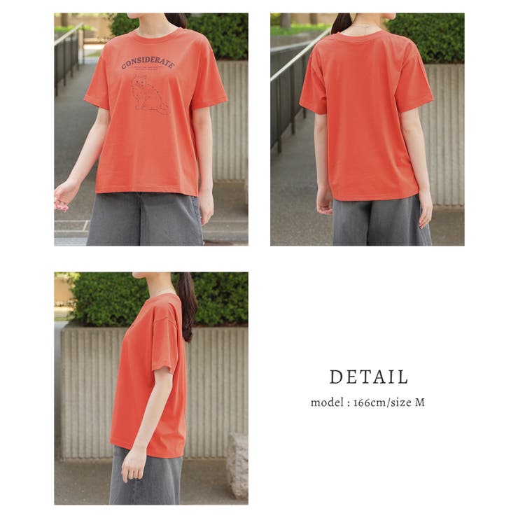トップス Tシャツ 半袖Tシャツ | Honeys | 詳細画像14 