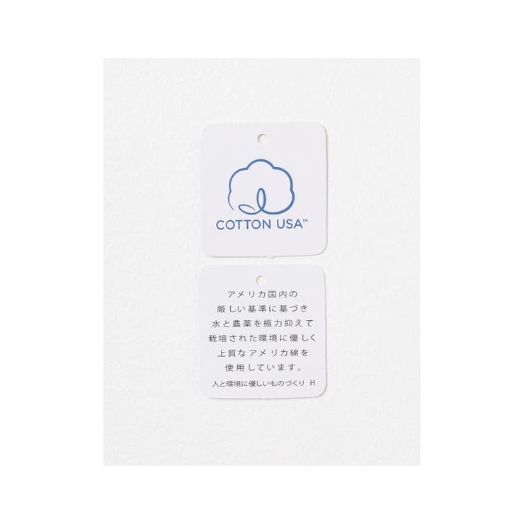 【ハニーズ】トップス Tシャツ 半袖Tシャツ | Honeys | 詳細画像3 