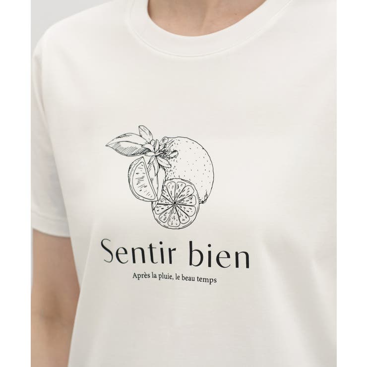 トップス Tシャツ 半袖Tシャツ | Honeys | 詳細画像16 