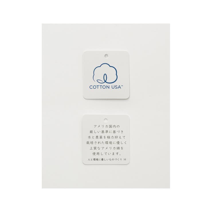 ワンピース 長袖 ひざ丈 | Honeys | 詳細画像3 