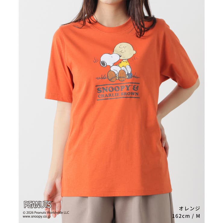 トップス カットソー 半袖 | Honeys | 詳細画像10 
