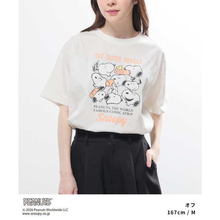 トップス Tシャツ 半袖Tシャツ | Honeys | 詳細画像3 