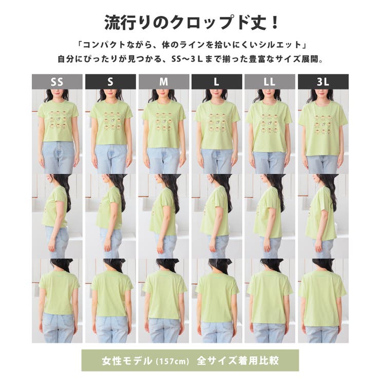 トップス Tシャツ 半袖Tシャツ | Honeys | 詳細画像7 
