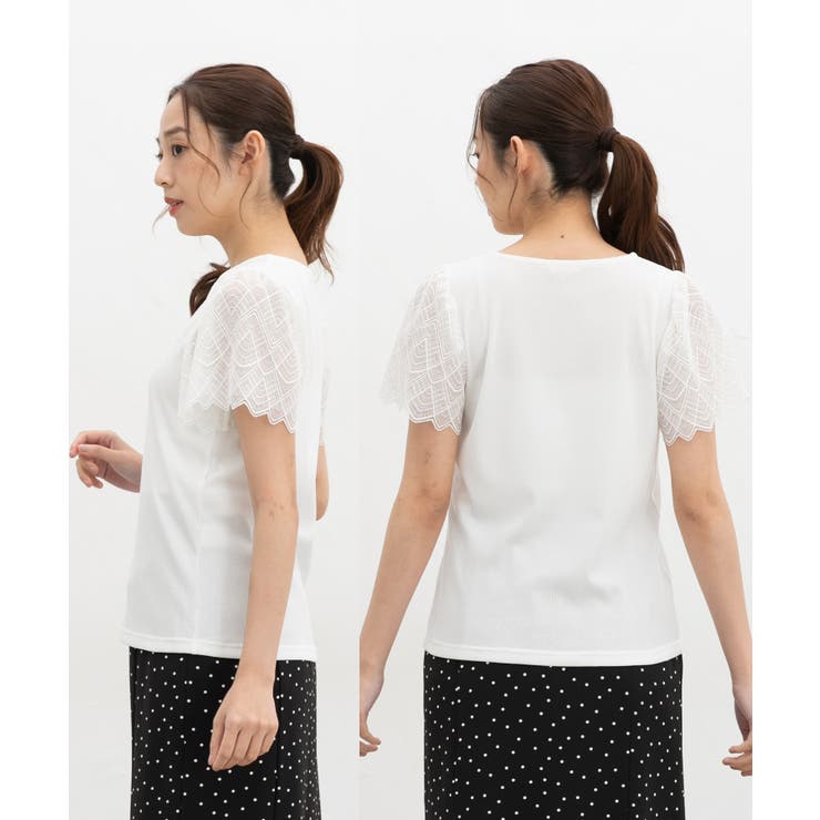 トップス カットソー 半袖 | Honeys | 詳細画像15 