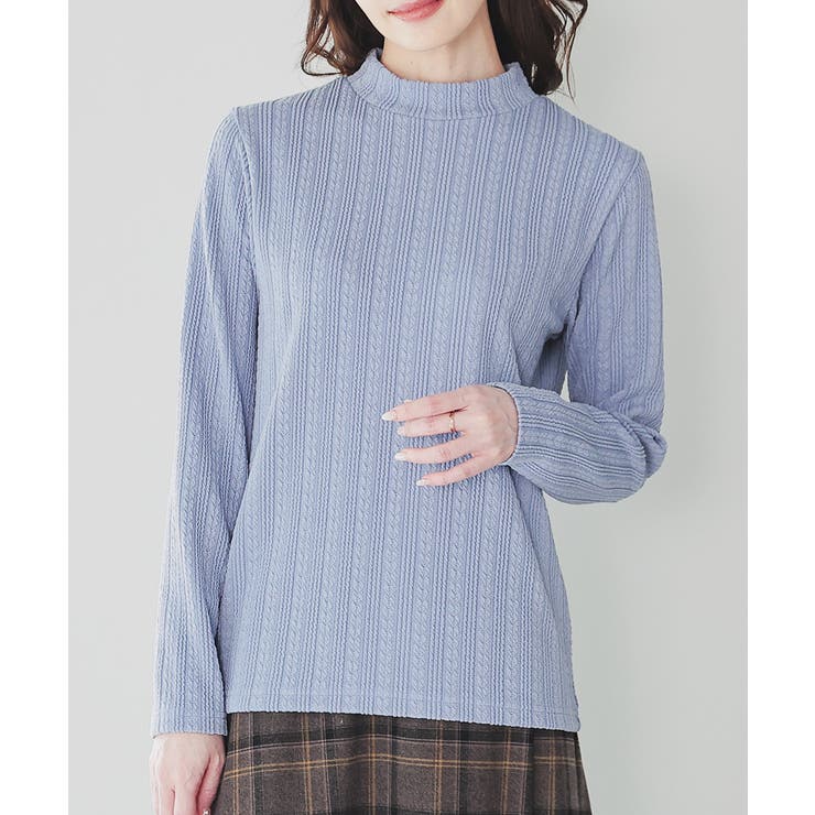 サックス | トップス カットソー 長袖 | Honeys