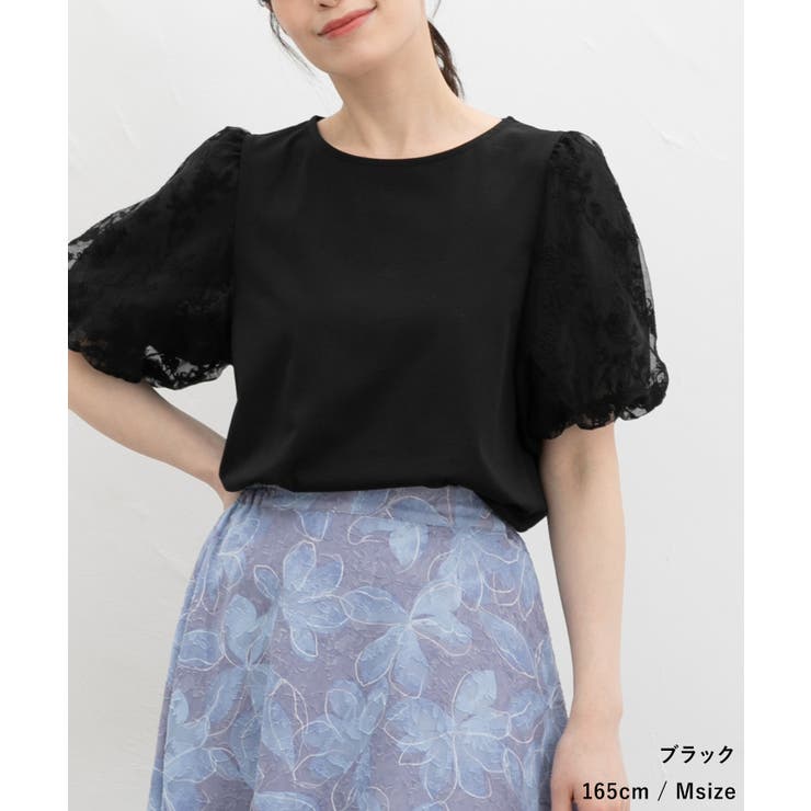 トップス カットソー 半袖 | Honeys | 詳細画像6 