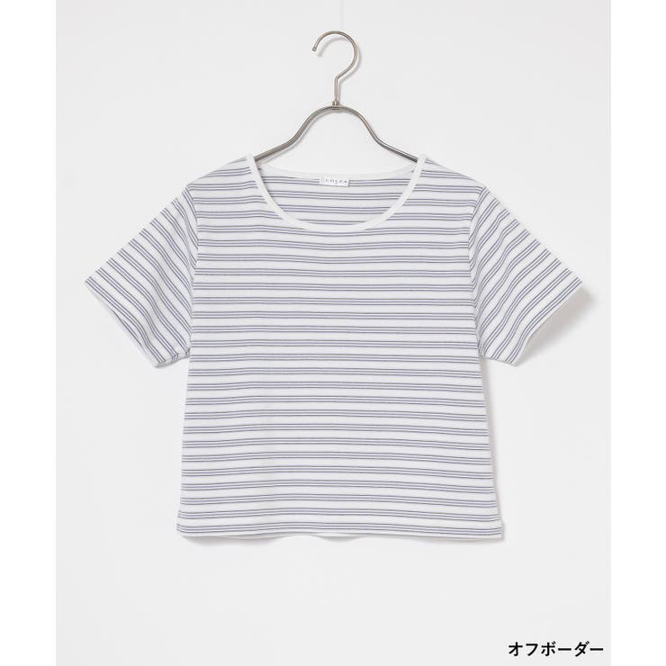トップス カットソー 半袖 | Honeys | 詳細画像12 