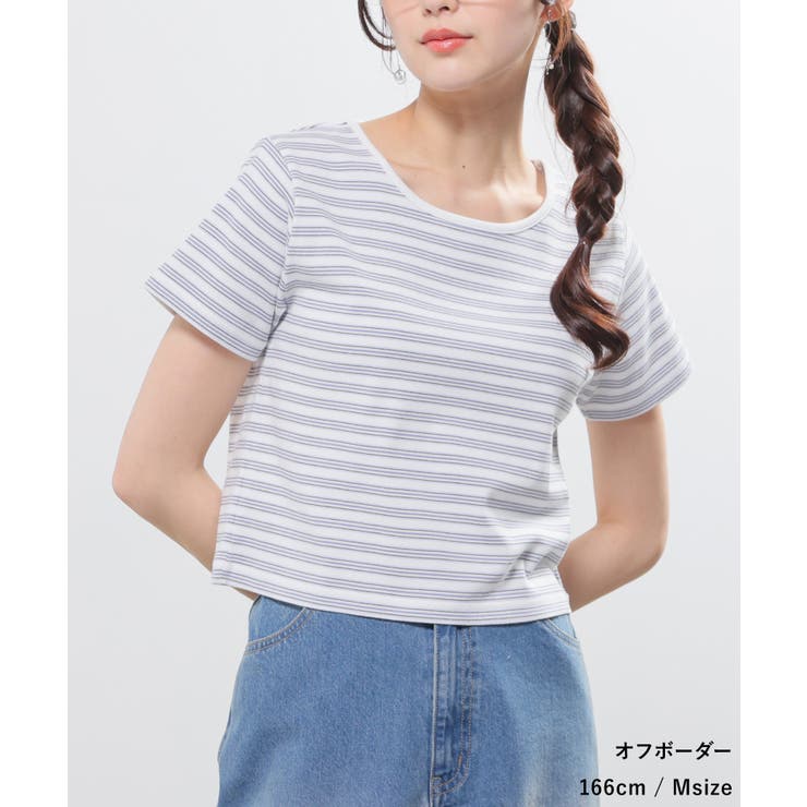 トップス カットソー 半袖 | Honeys | 詳細画像5 