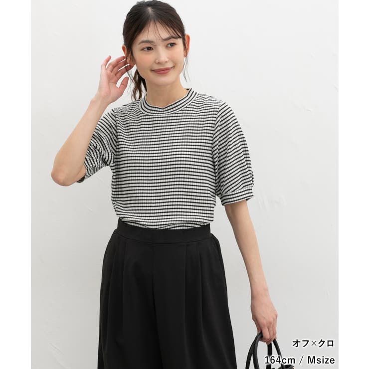 トップス カットソー 半袖 | Honeys | 詳細画像5 