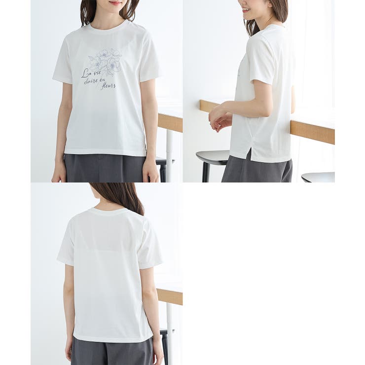 トップス Tシャツ 半袖Tシャツ | Honeys | 詳細画像15 