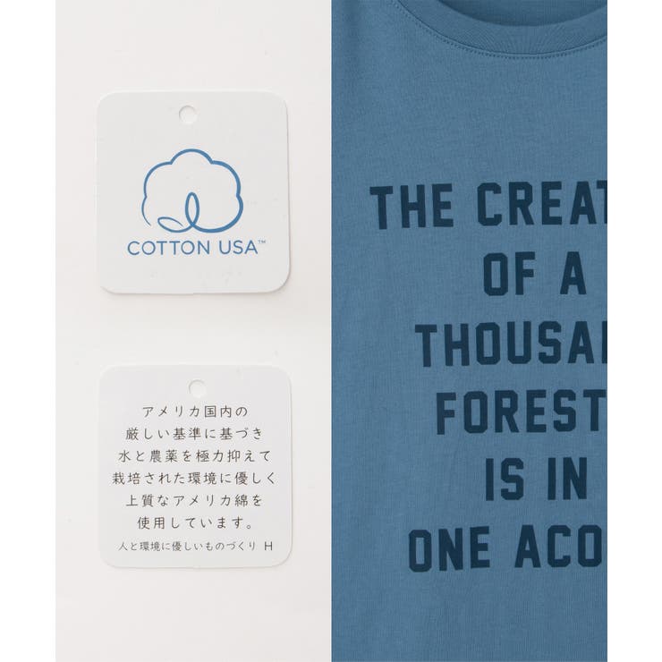 トップス Tシャツ ロンＴ | Honeys | 詳細画像2 