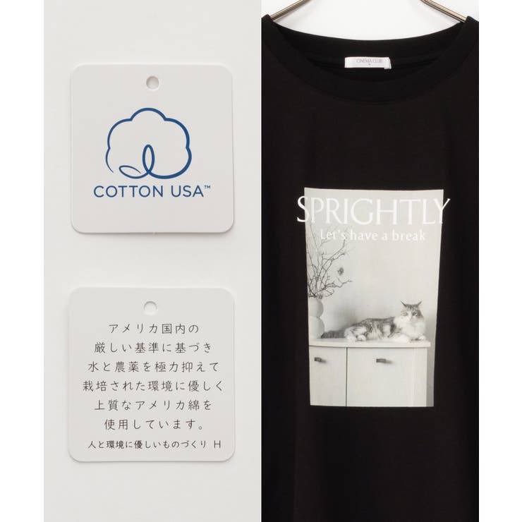 トップス Tシャツ ロンＴ | Honeys | 詳細画像2 