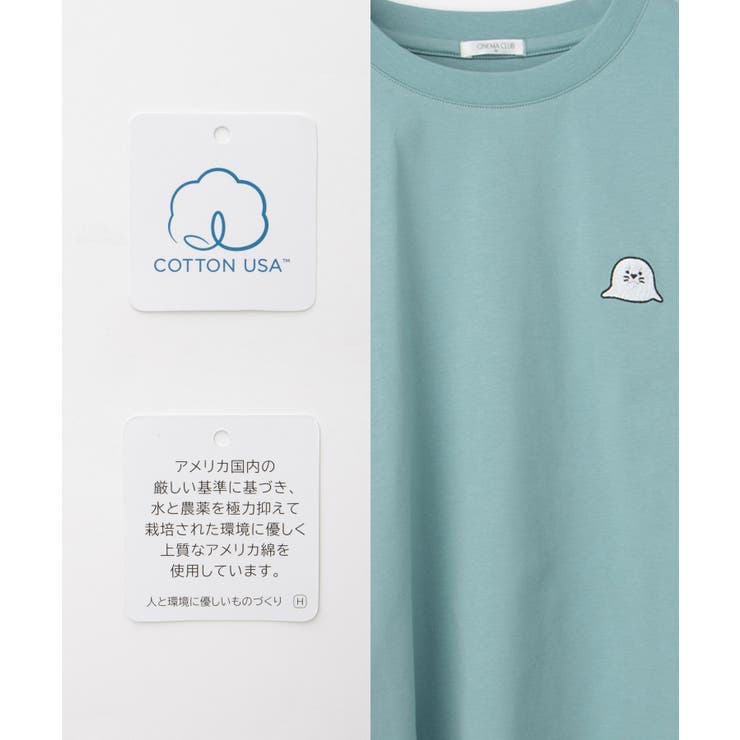 トップス Tシャツ 半袖Tシャツ | Honeys | 詳細画像3 