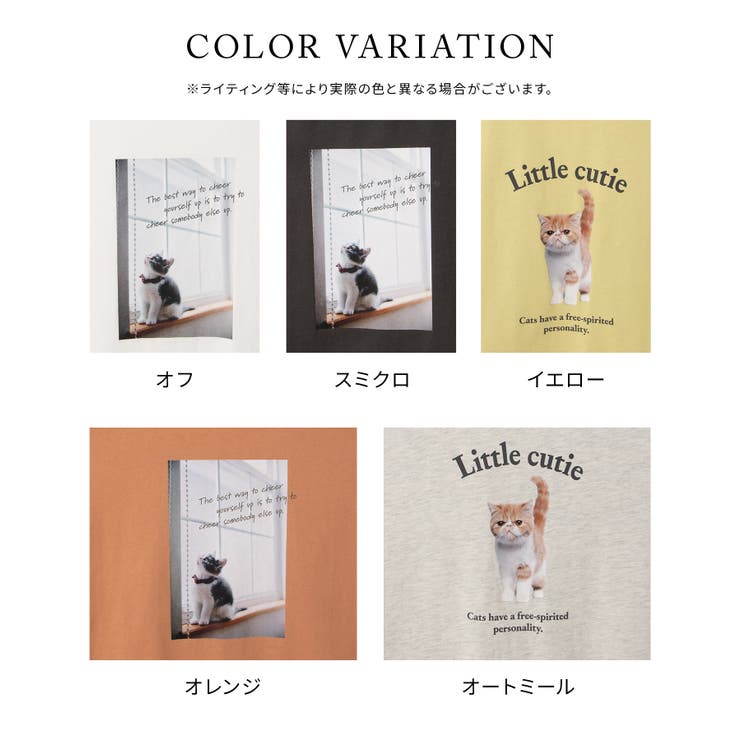 トップス Tシャツ 半袖Tシャツ | Honeys | 詳細画像14 