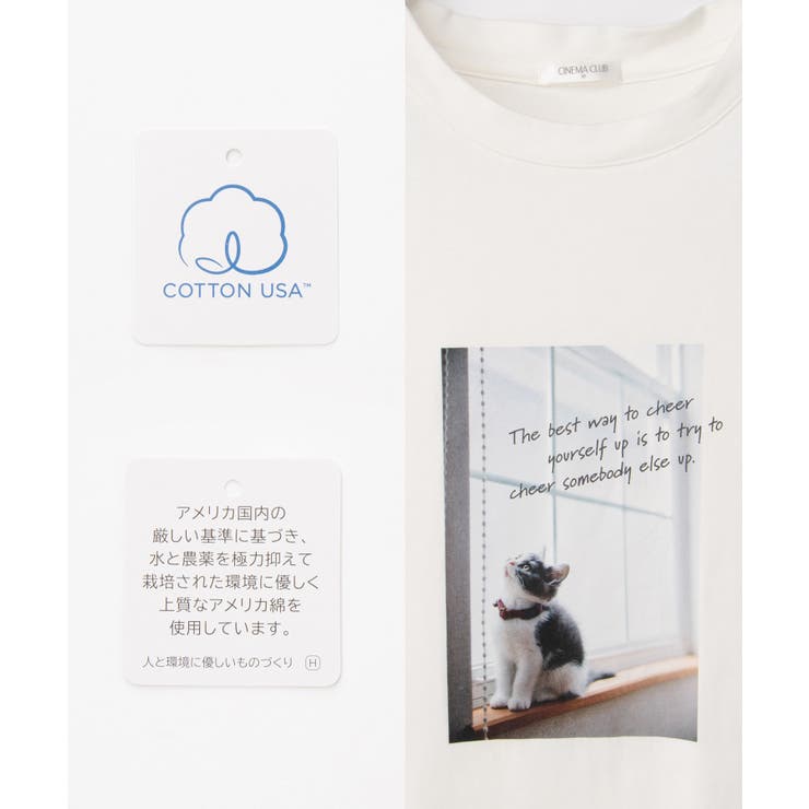 トップス Tシャツ 半袖Tシャツ | Honeys | 詳細画像3 
