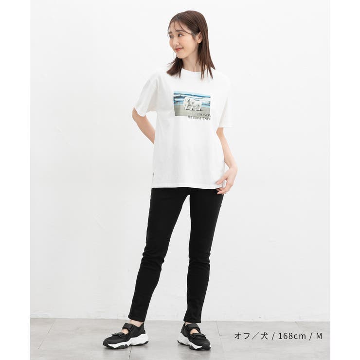 トップス Tシャツ 半袖Tシャツ | Honeys | 詳細画像12 