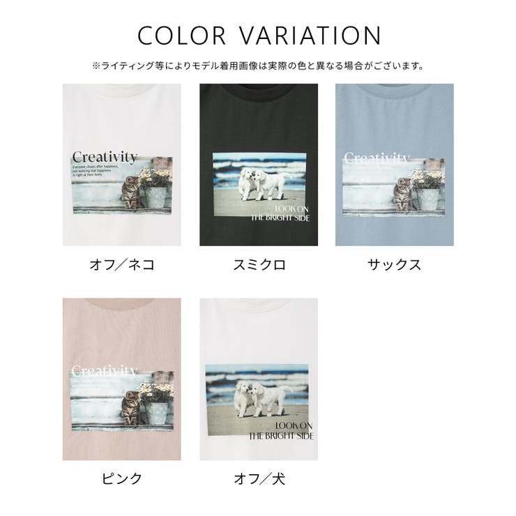 トップス Tシャツ 半袖Tシャツ | Honeys | 詳細画像14 