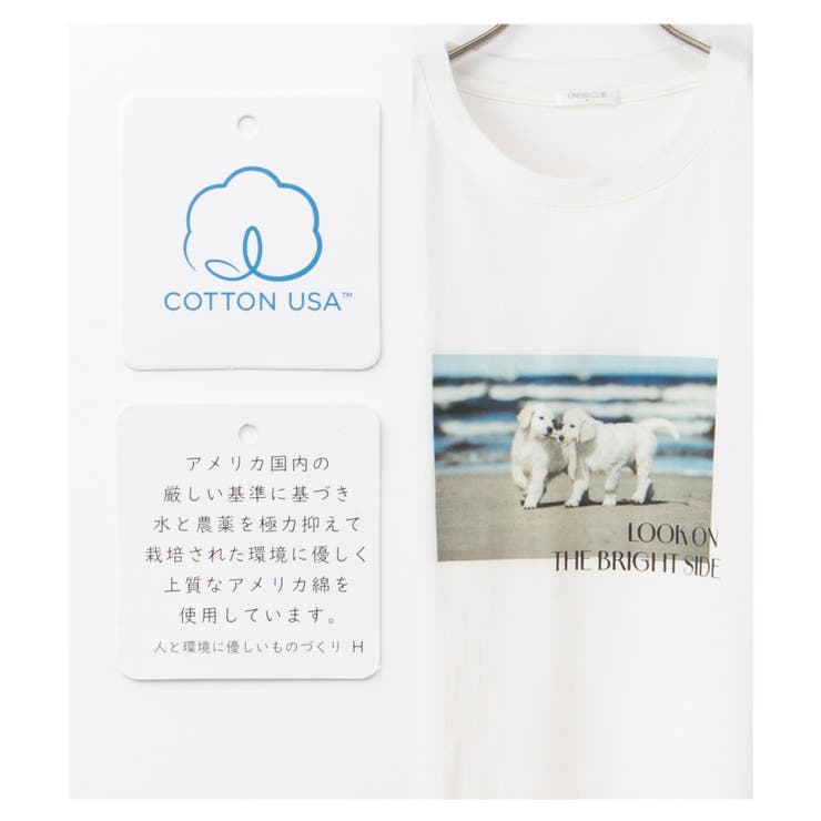 トップス Tシャツ 半袖Tシャツ | Honeys | 詳細画像3 