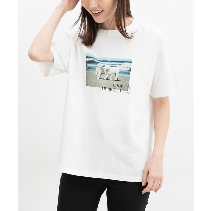 オフ／犬 | トップス Tシャツ 半袖Tシャツ | Honeys
