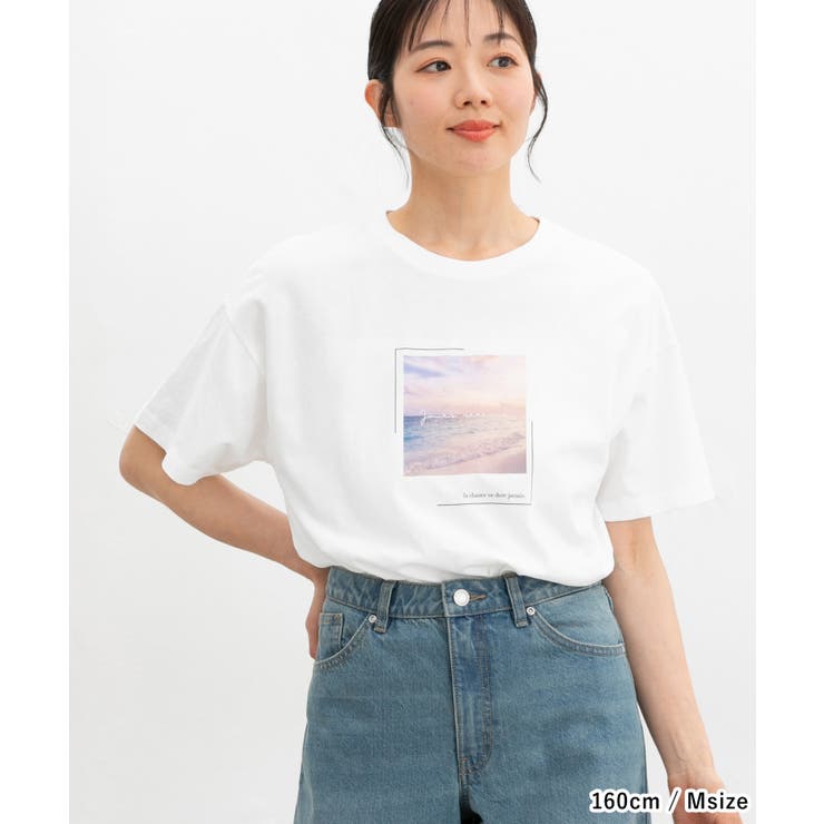 【ハニーズ】トップス Tシャツ 半袖Tシャツ | Honeys | 詳細画像14 